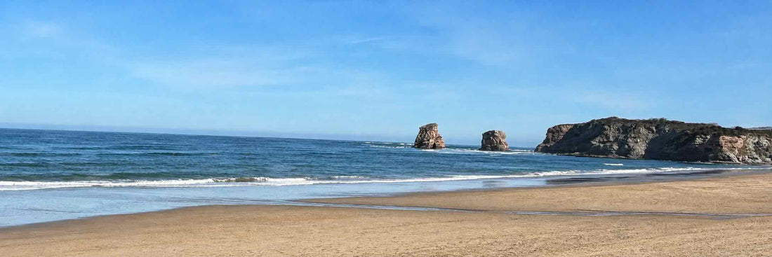 Location Surf Hendaye